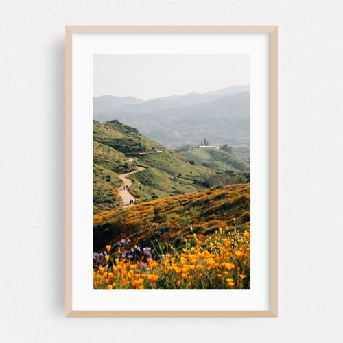 Walker Canyon Trail 01