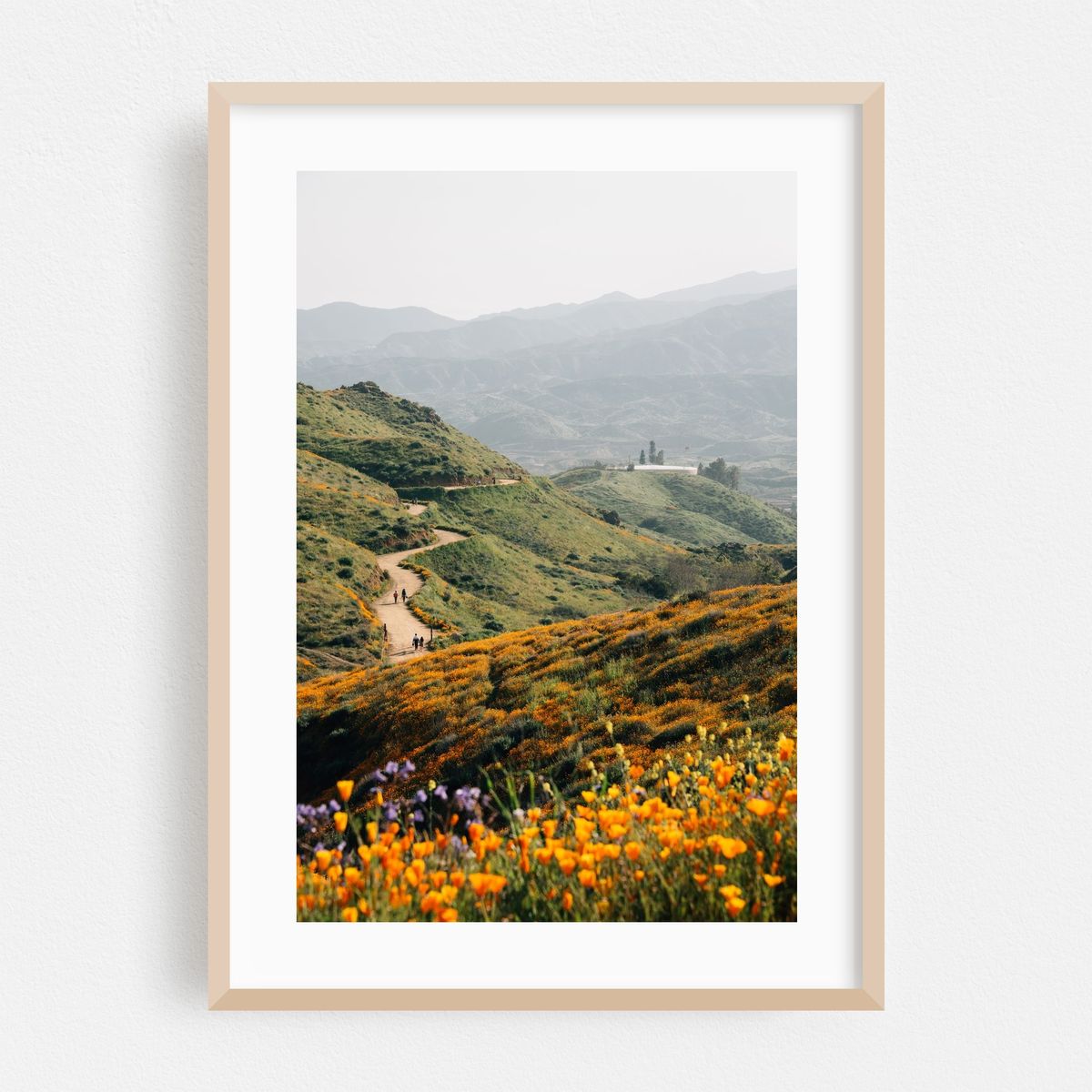 Walker Canyon Trail 01 – image 1 of 16