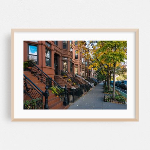 Park Slope Autumn 01