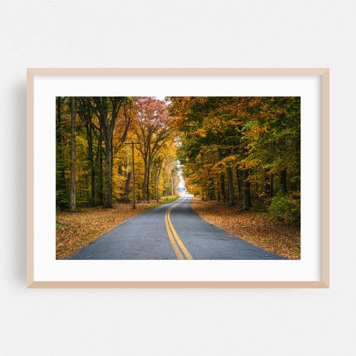 Carmichael Road, Wye Island
