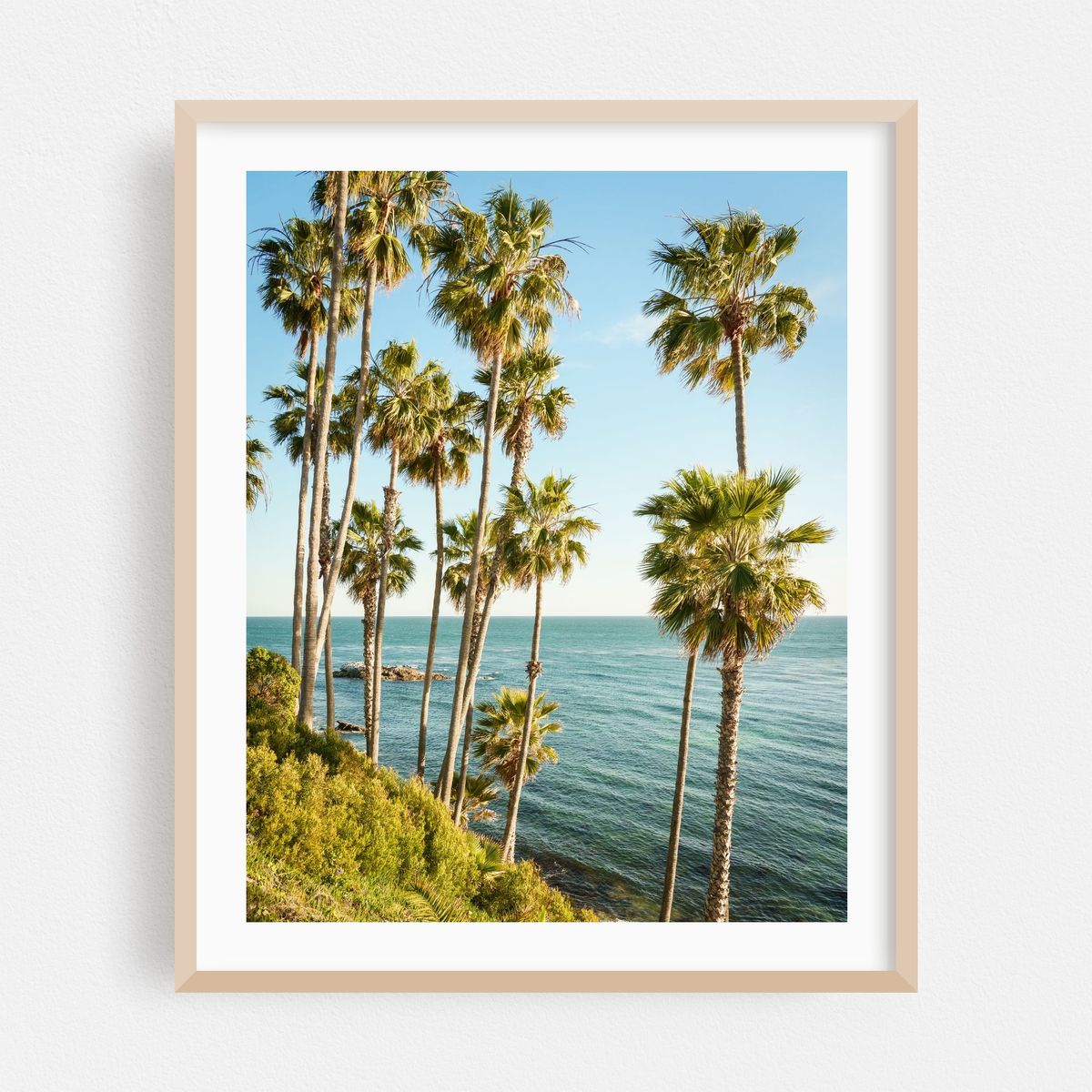 Heisler Park Palms, Laguna Beach – image 1 of 12