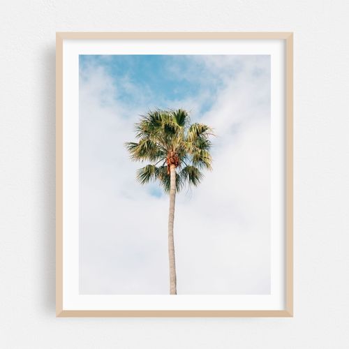 Lone Palm, Treasure Island Park