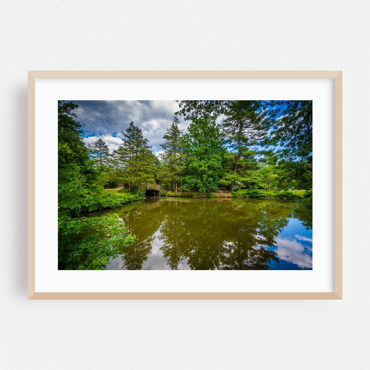 Elizabeth Park No.2 – image 1 of 6