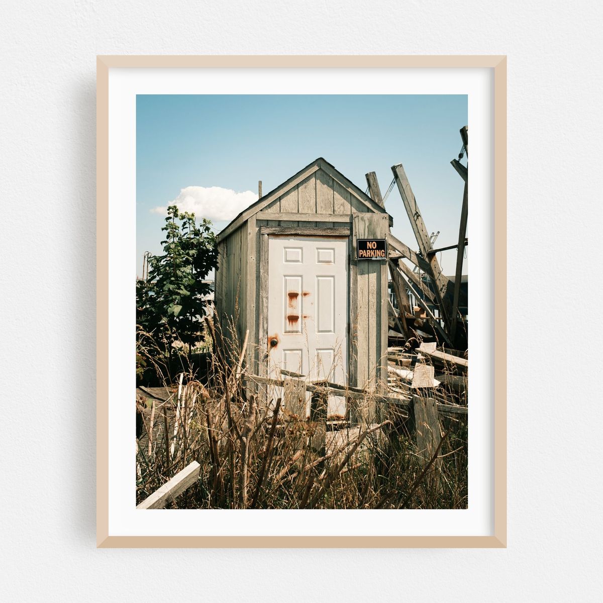 Shed at the Harbor, Provincetown – image 1 of 12