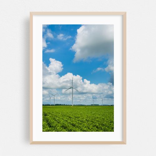 Wind Blows 02