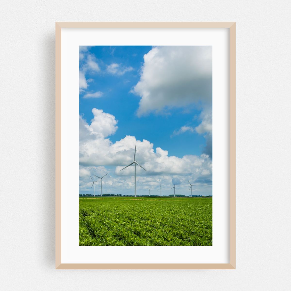 Wind Blows 02 – image 1 of 16