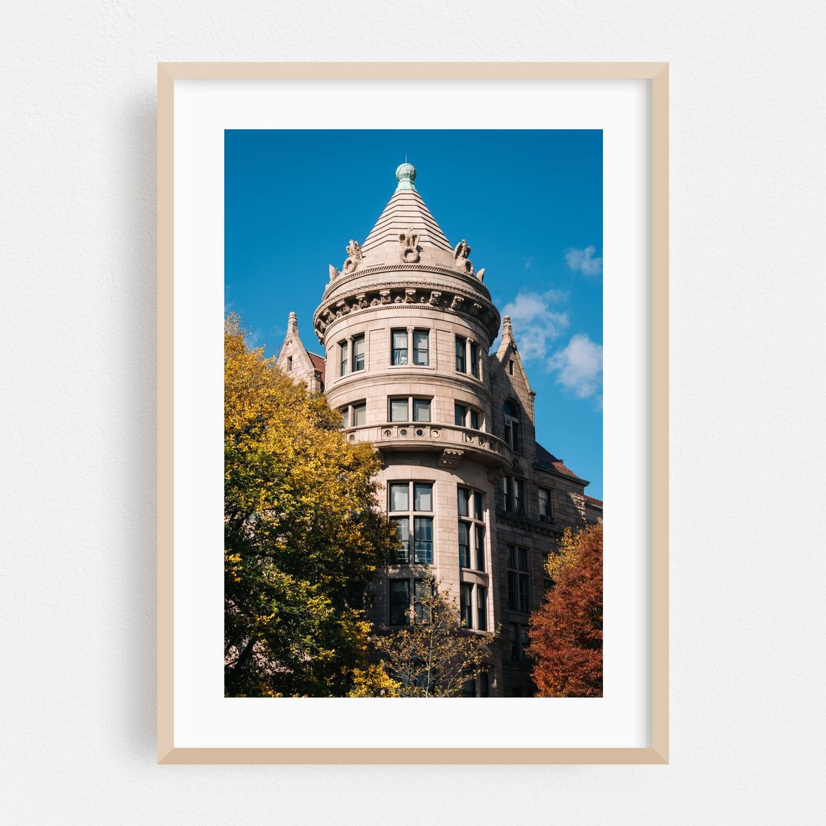 Museum of Natural History – image 1 of 16