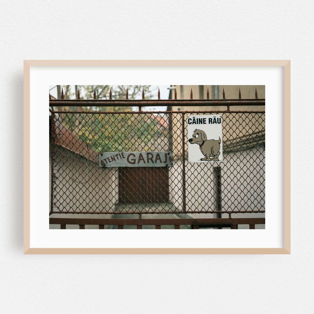 Caine Rau – image 1 of 6
