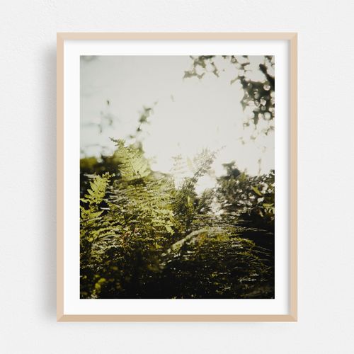 Bay Circuit Forest 03