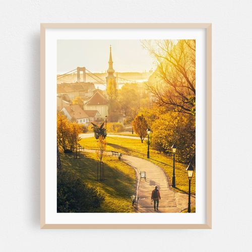 Budapest Morning