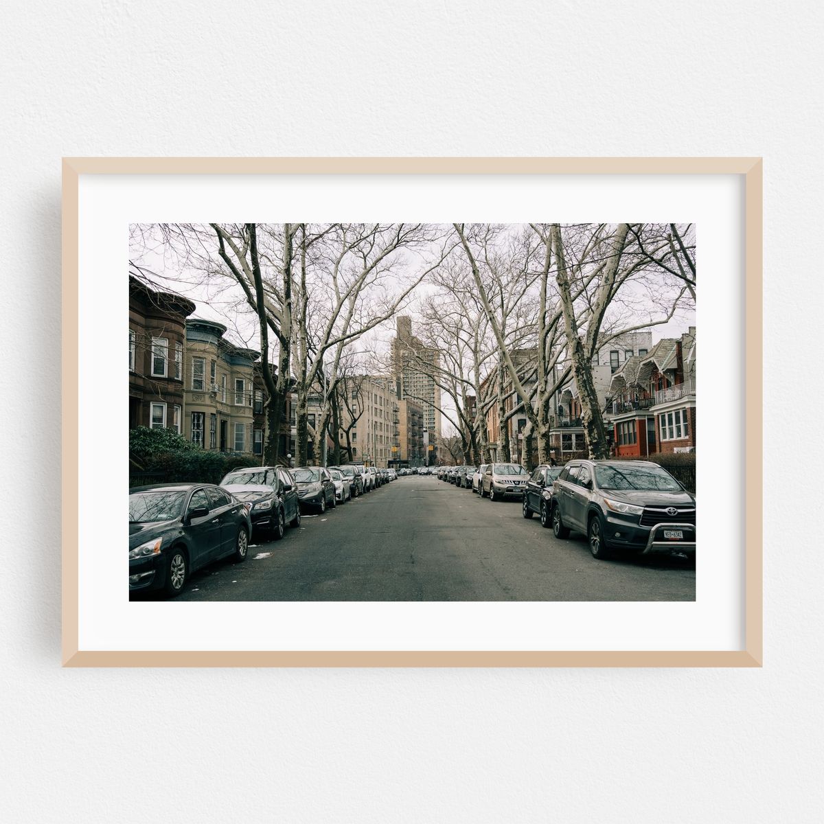 Street in Crown Heights, Brooklyn – image 1 of 6