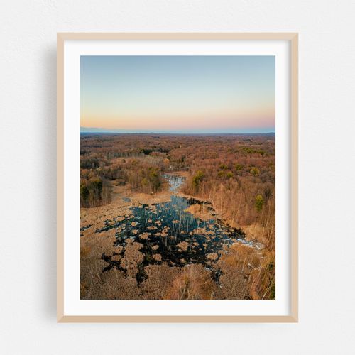 Rhinebeck Wetland 01