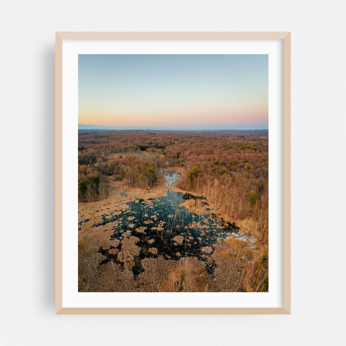 Rhinebeck Wetland 01 – image 1 of 12