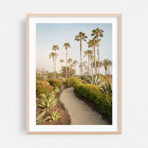 Treasure Island Park, Laguna Beach 04