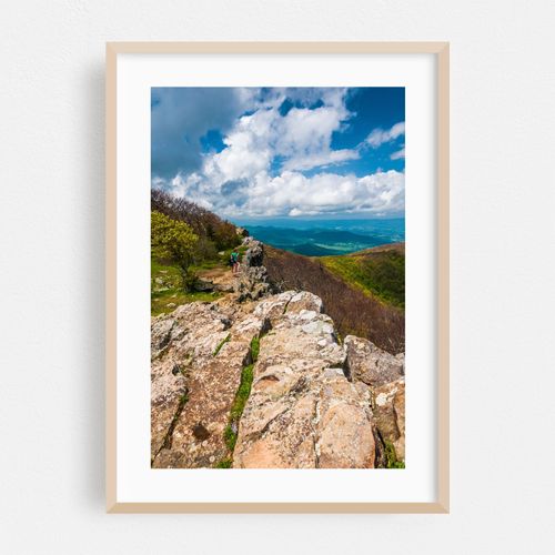 Hawksbill Summit