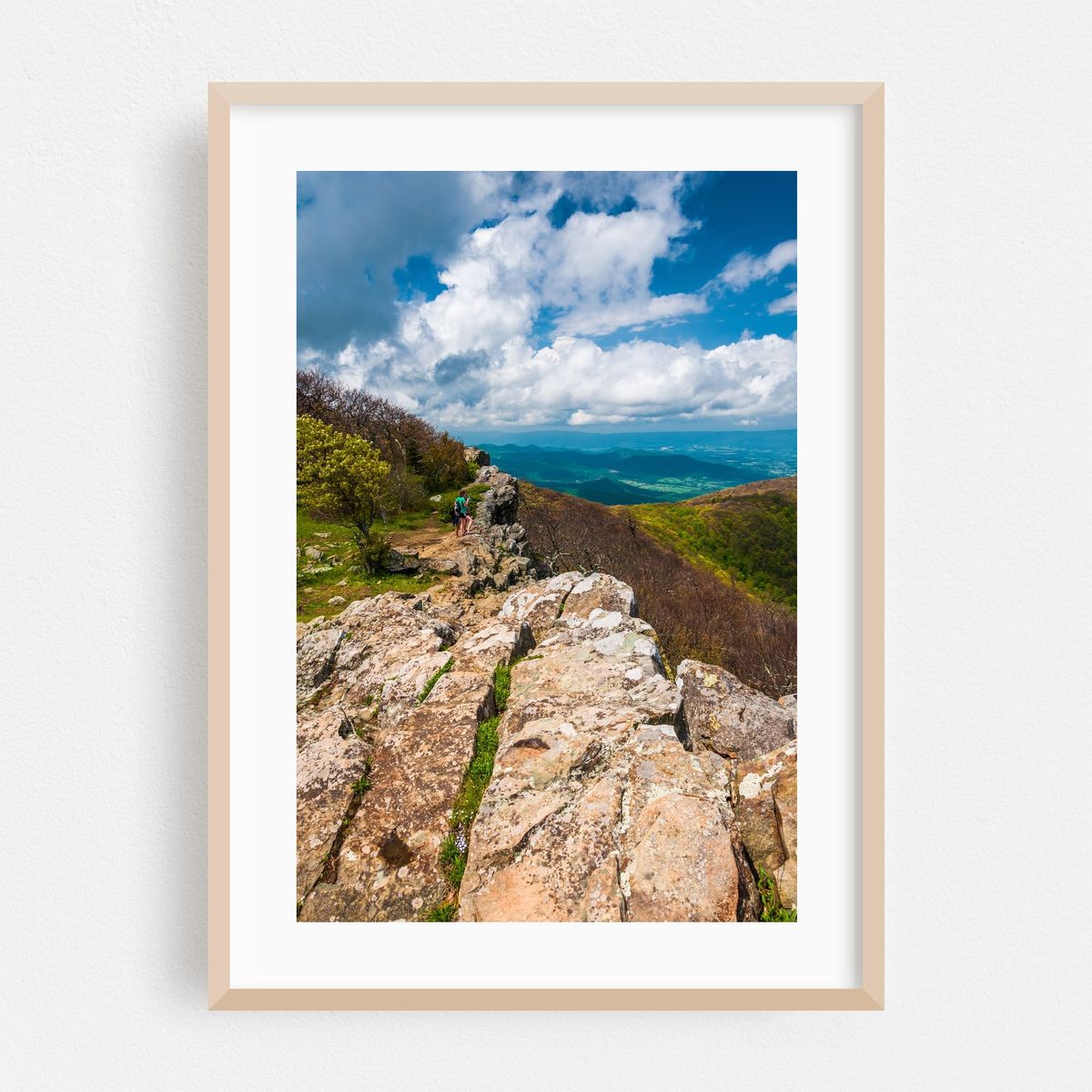 Hawksbill Summit – image 1 of 16