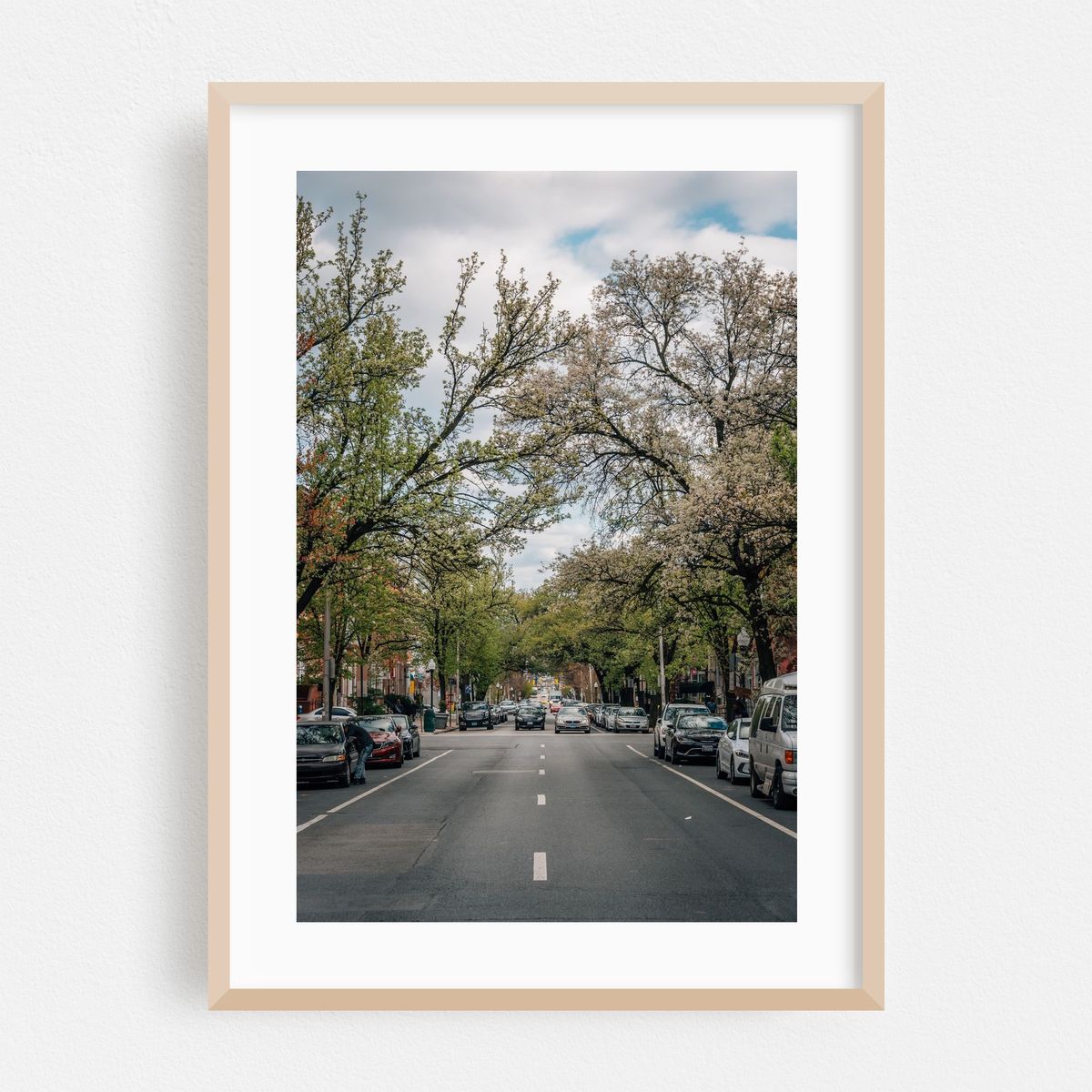 Spring Bloom on Charles Street – image 1 of 16