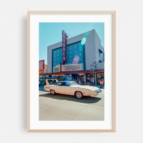 Dodge Superbird - Willow Glen