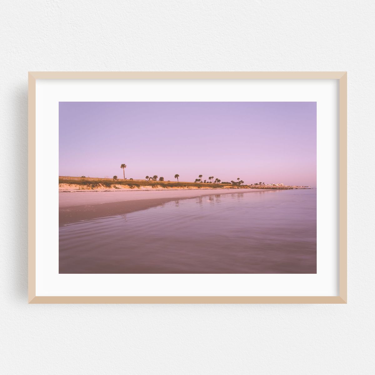Palm Coast – image 1 of 6