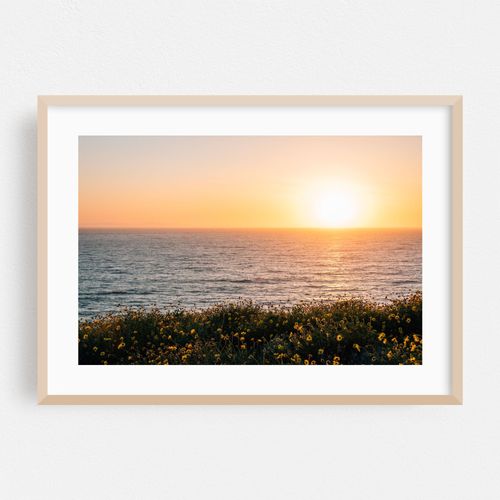 Dana Point Headlands 01