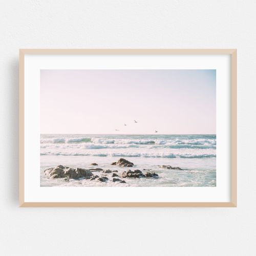 Pelicans Over Ocean