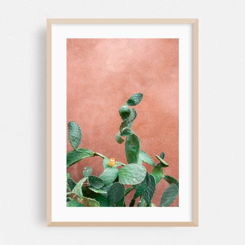 Peach Wall Green Cactus