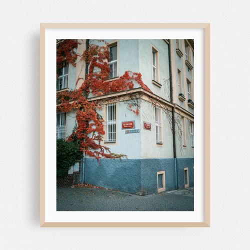 Autumn in Hradčany, Prague