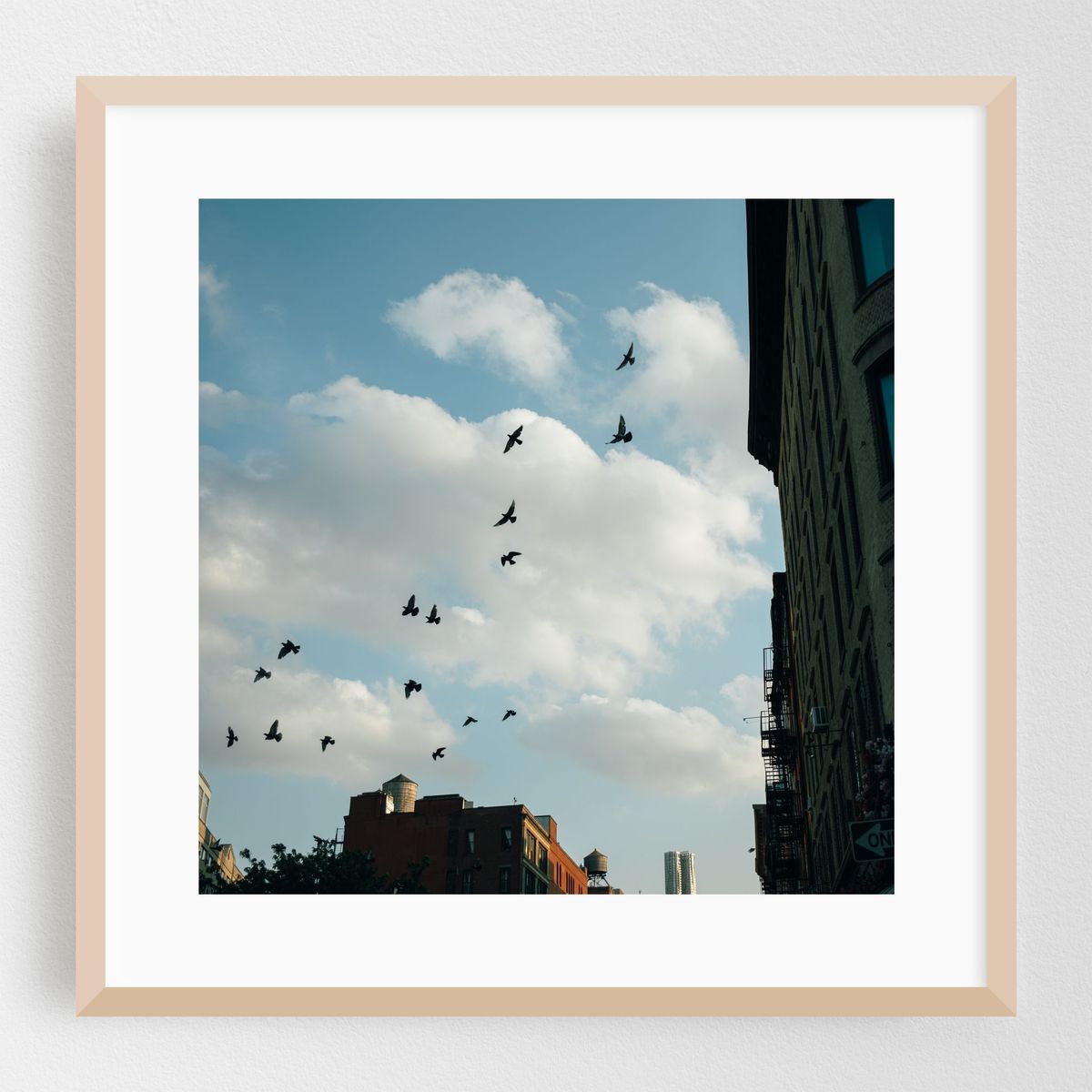Birds, Soho 01 – image 1 of 8