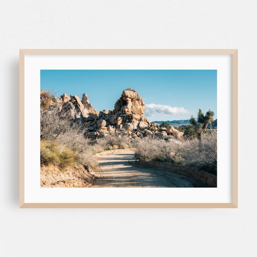 Dusty Road, Joshua Tree 01