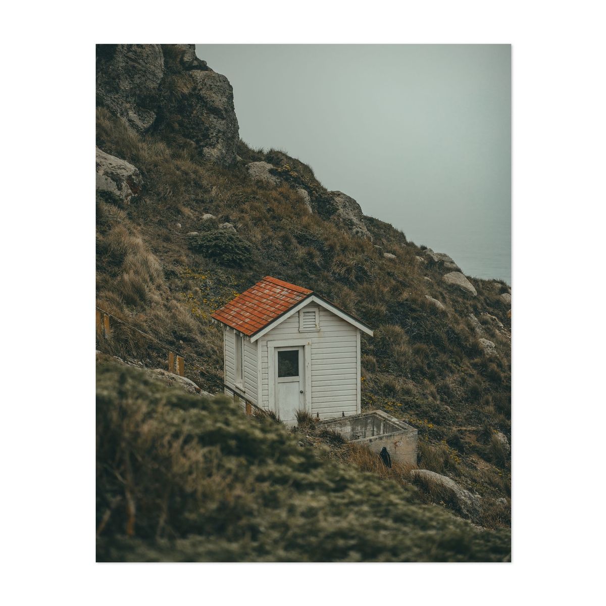 Point Reyes 06 - 2026 – image 1 of 2