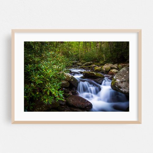 Roaring Fork Cascades