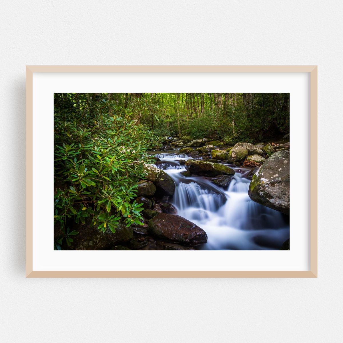 Roaring Fork Cascades – image 1 of 6