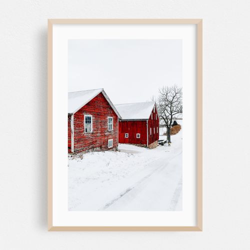 Red Barns in Snow