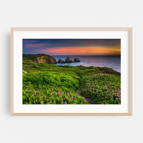 Flowers over Rodeo Beach