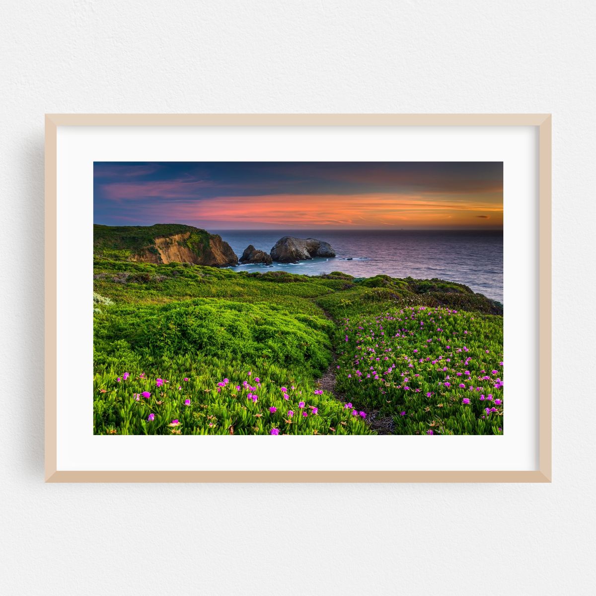 Flowers over Rodeo Beach – image 1 of 6