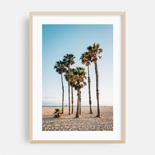 Palms, Santa Monica 01