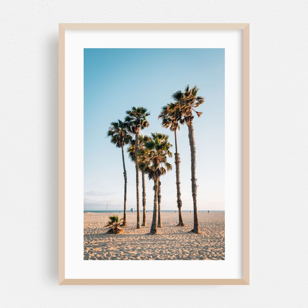 Palms, Santa Monica 01 – image 1 of 16