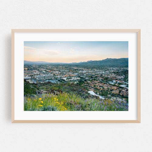Palm Springs Views 03