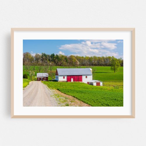 The Old Barn