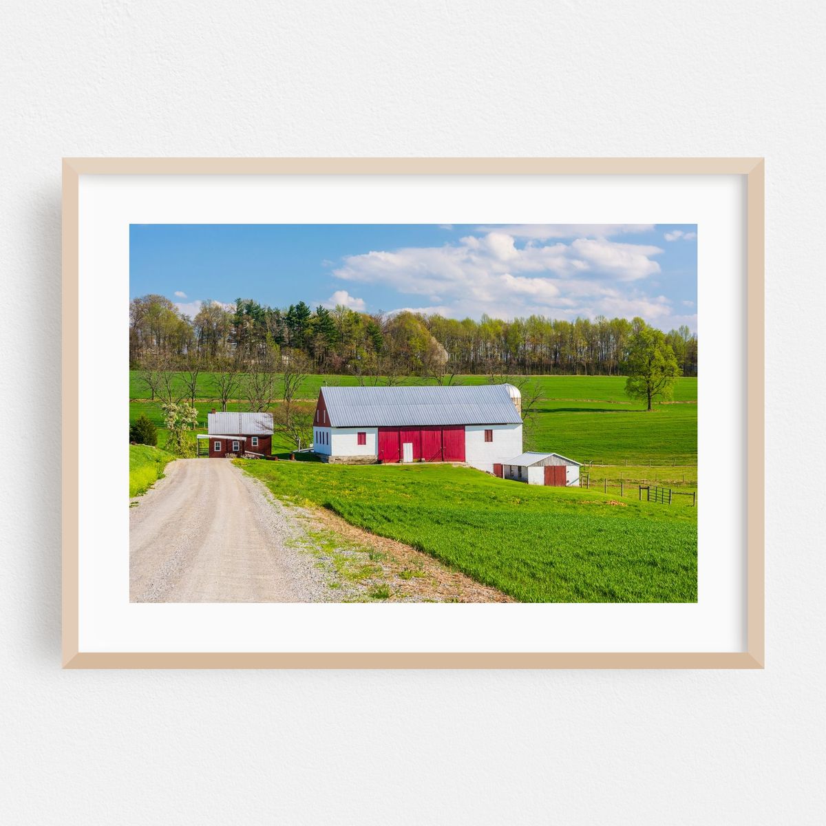 The Old Barn – image 1 of 6