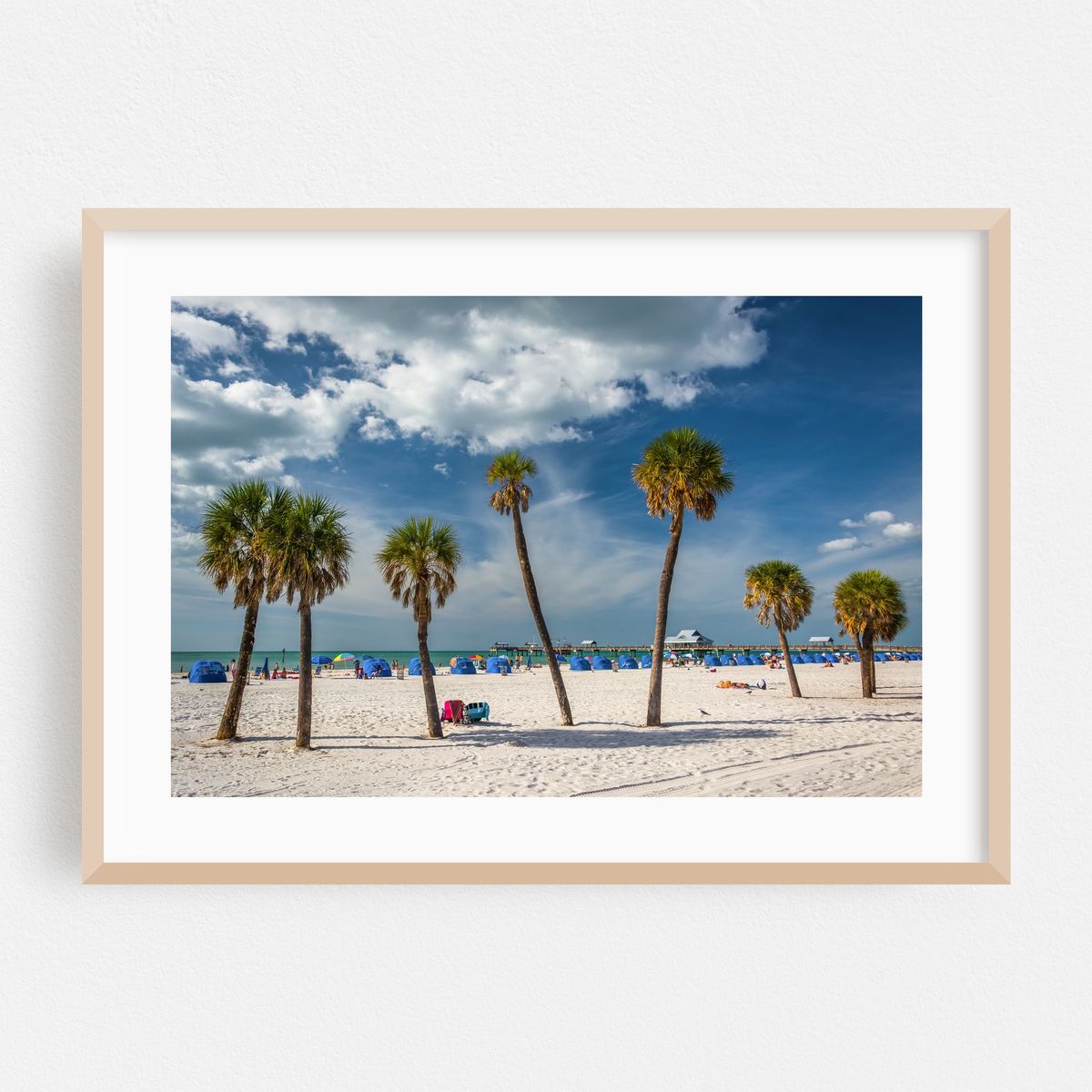 Clearwater Palms – image 1 of 6