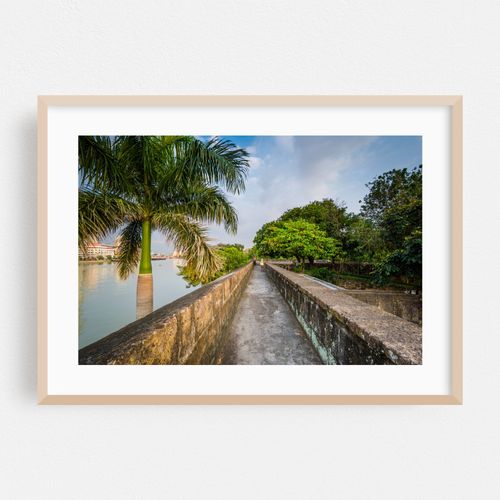 Along the Pasig River