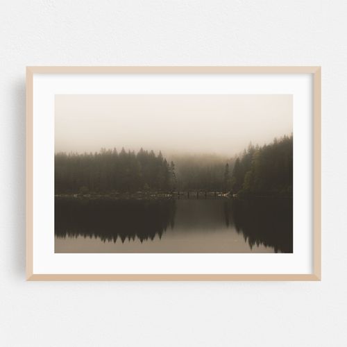 Silent Reflections