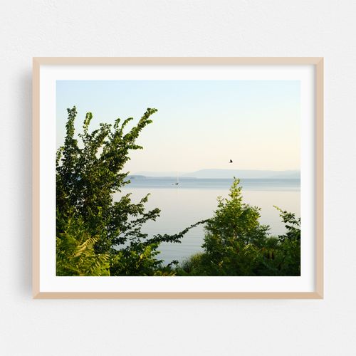 View of Lake Champlain and the Adirondacks 07