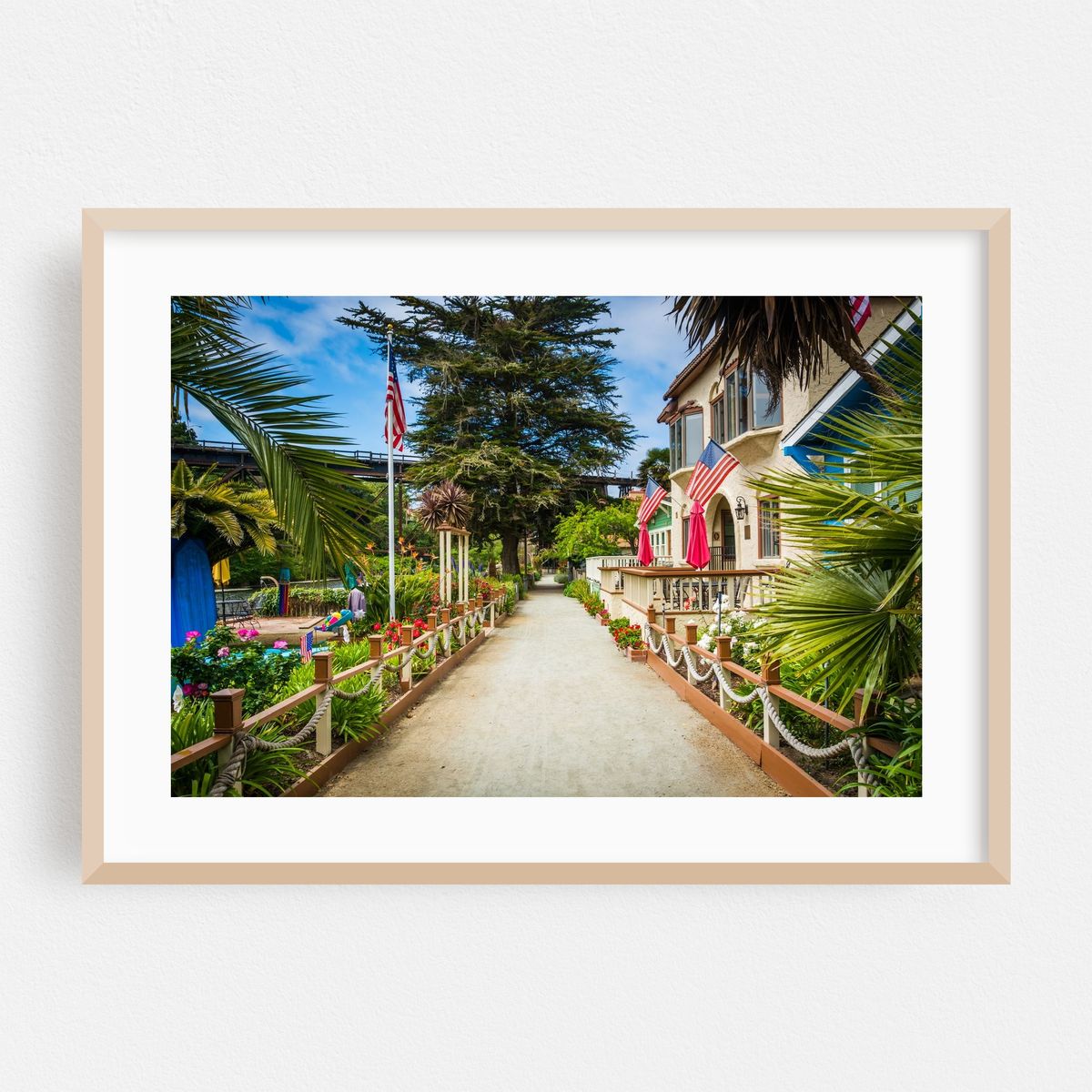 Patriots & Palms – image 1 of 6