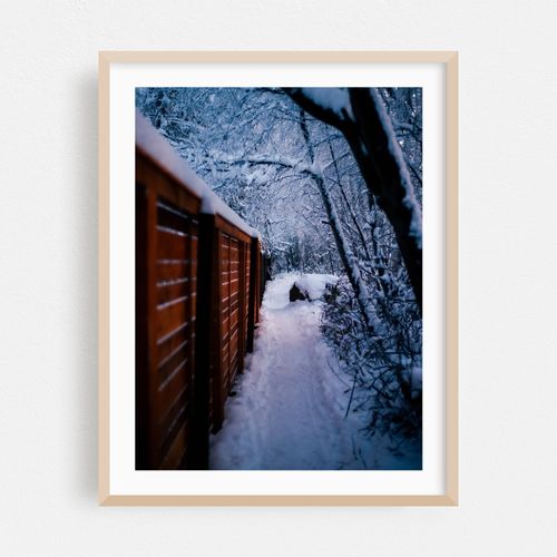 Snowy Path II