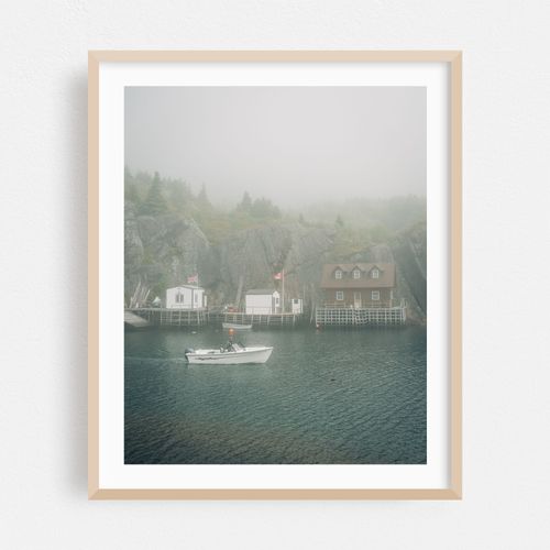 Quidi Vidi in Fog 01