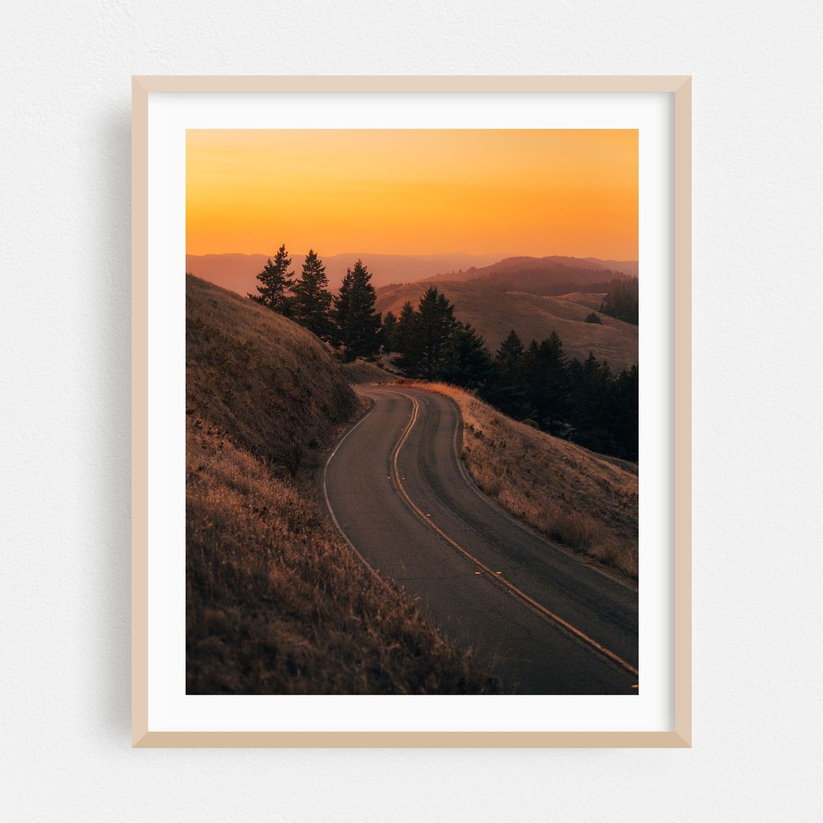 Road on Mount Tamalpais 01 – image 1 of 12