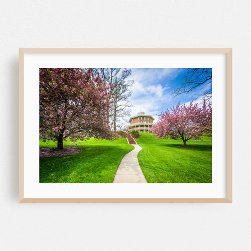 Spring Colors at Johns Hopkins, Mount Washington