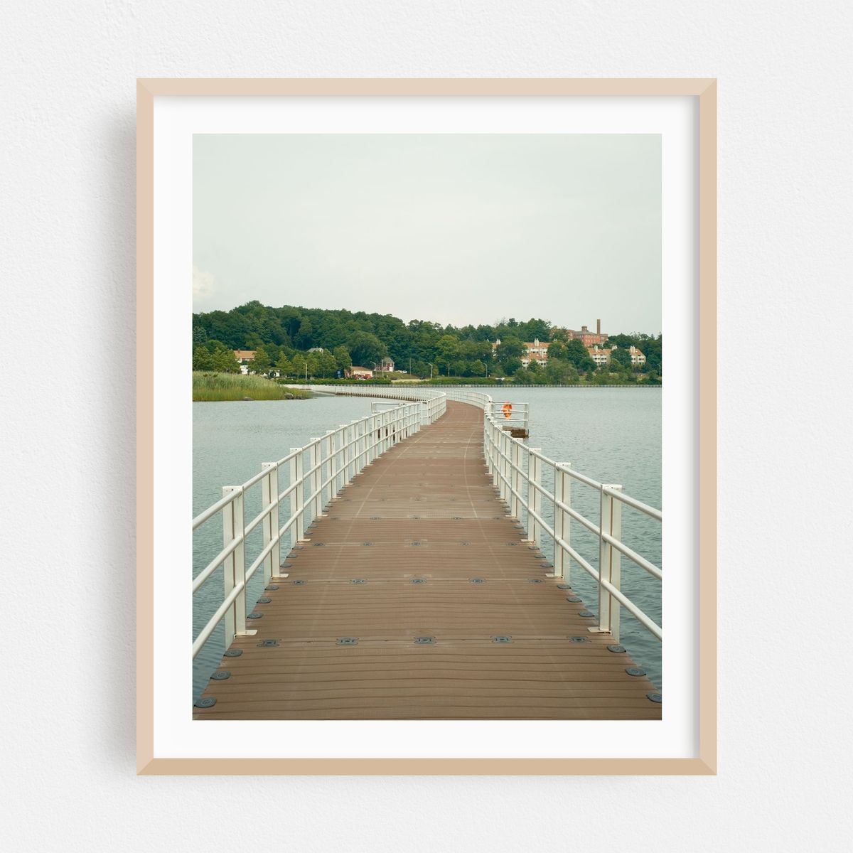 Williams Lake Boardwalk, Marlborough – image 1 of 12